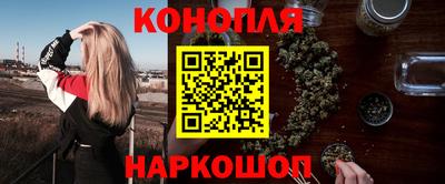 бошки Гатчина