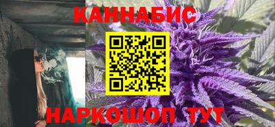 бошки Гатчина