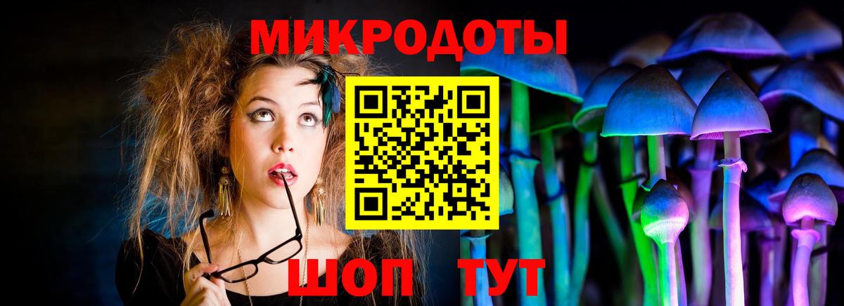 что такое наркотик  Псилоцибиновые грибы мицелий  Вход с VPN  Клинцы 